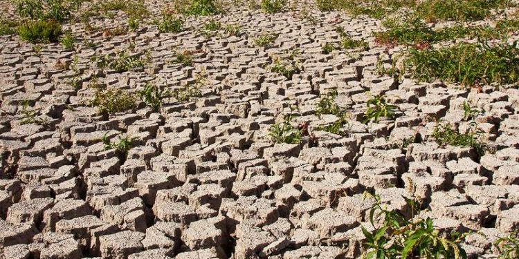 Climate-Change-in-Africa-750x375